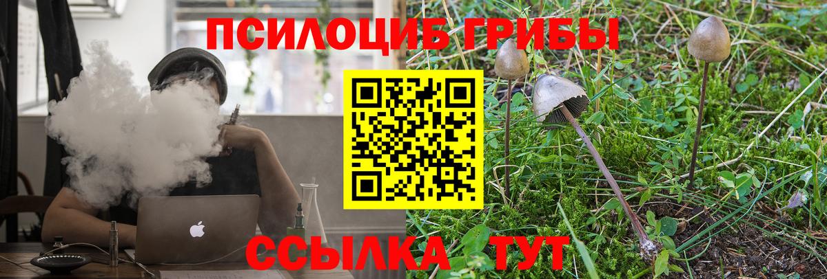 Псилоцибиновые грибы MAGIC MUSHROOMS  Псилоцибиновые грибы Psilocybine cubensis  Вход с VPN  Усть-Джегута 